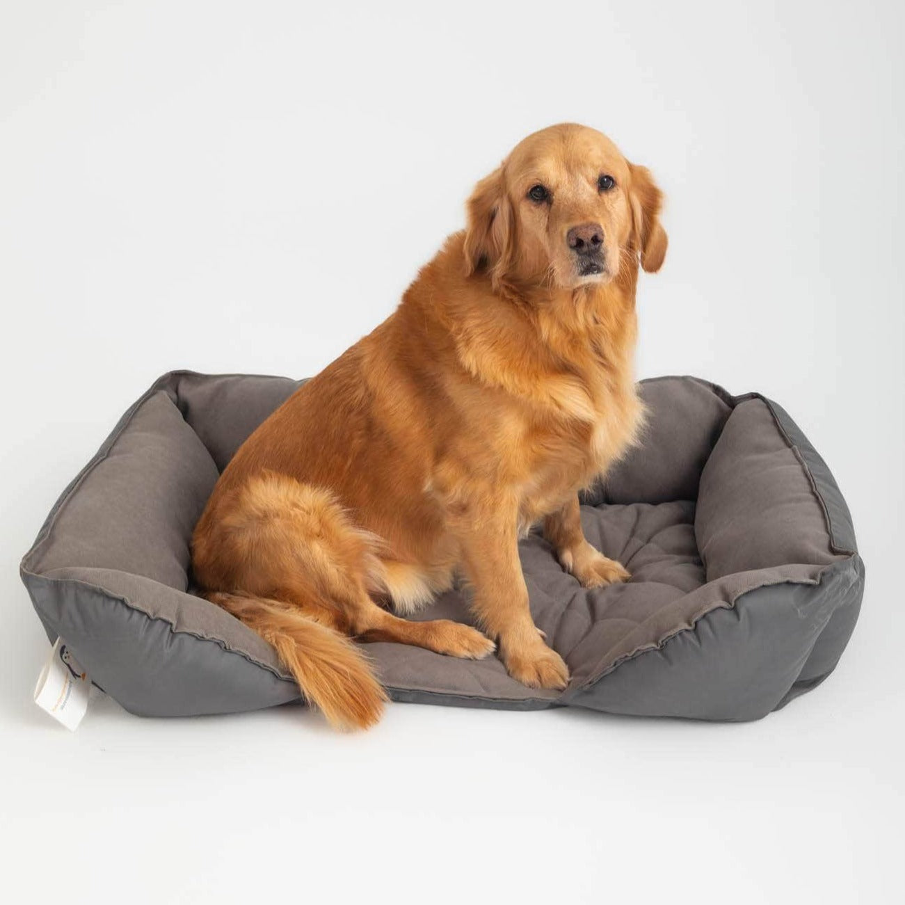 Dog bed for sale near me hotsell