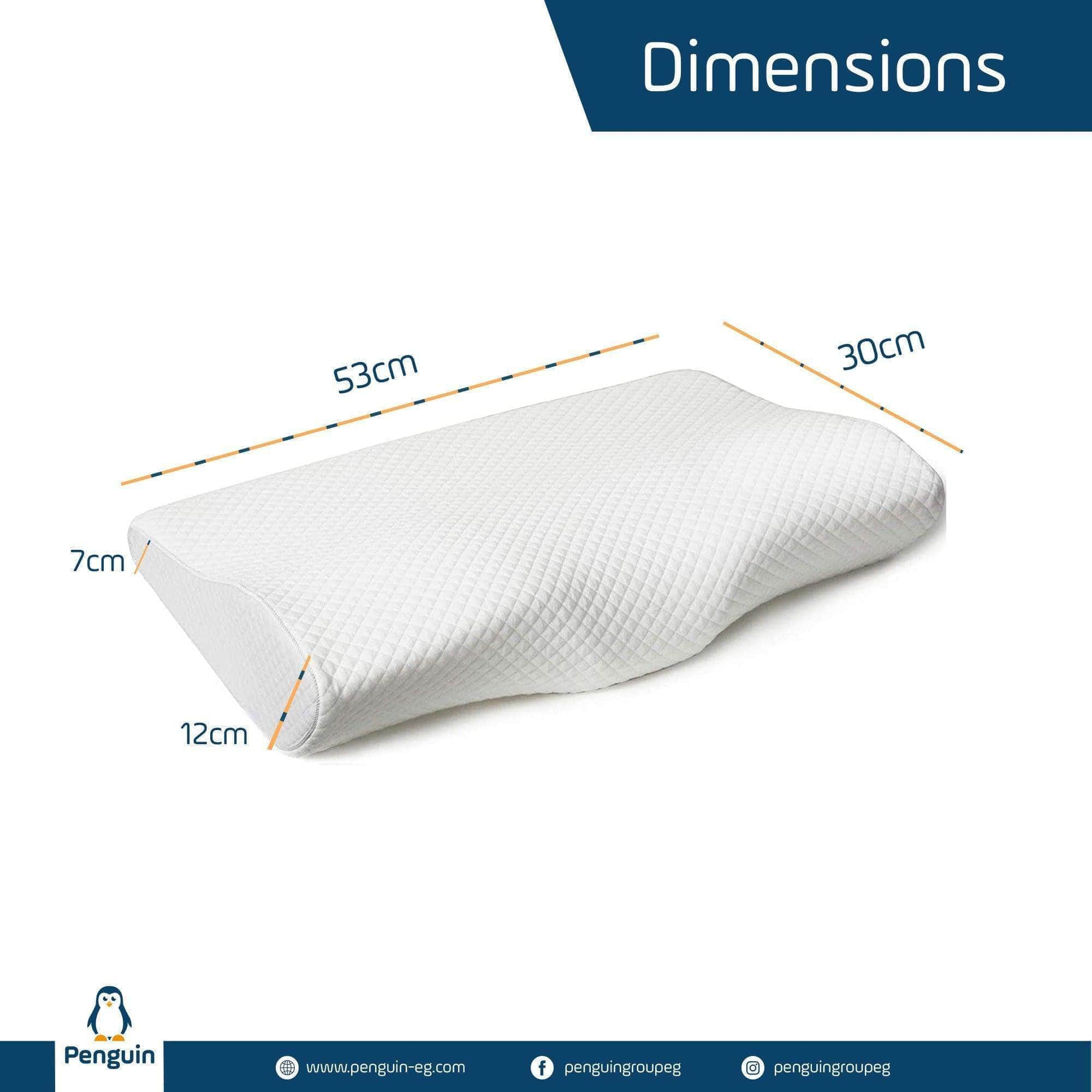 Cervical Contour Memory Foam Pillow